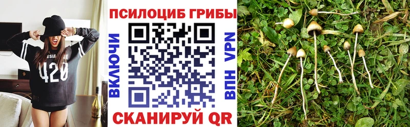 Галлюциногенные грибы Cubensis  гидра зеркало  Закаменск 