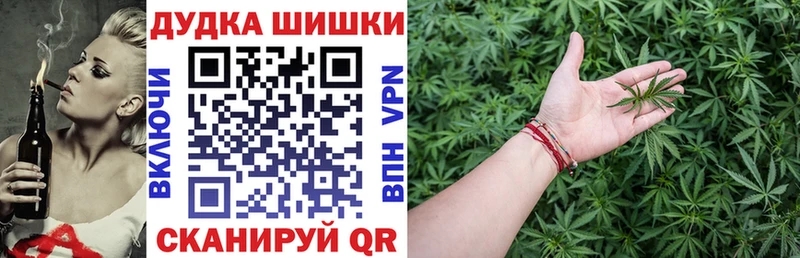 хочу наркоту  Закаменск  Конопля конопля 
